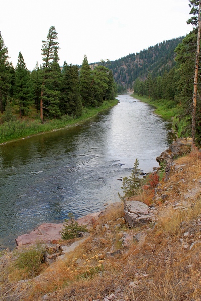 Looking upstream at Blackfoot River near Sheep Flats from the south side.