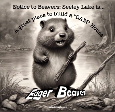 Seeley Lake is a great place to build a house.