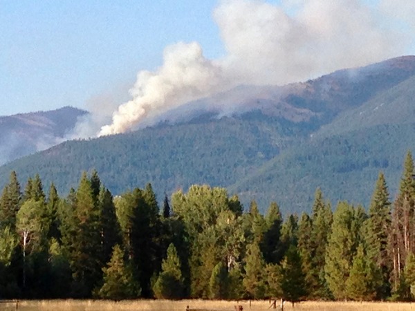 Southeast leading edge of Rice Ridge fire in Seeley Lake, Montana on August 14, 2017 (zoomed-in).  This is now on the northwest quadrant of Morrell Mountain. Click to enlarge. 