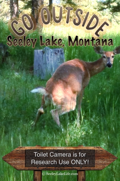 Go Outside - Toilet Camera is for Research Use Only! - Seeley Lake, MT