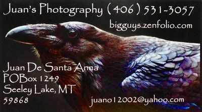 Juan's Photography 406-531-3057 Juan De Santa Anna P.O. Box 1249 Seeley Lake, MT 59868 website: bigguys.zenfolio.com email: juano12002@yahoo.com