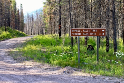 Morrell Falls Trailhead & Pyramid Pass Trailhead Sign at the junction of FR4353 and FR4381 near the Morrell creek bridge.