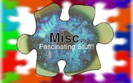 Misc. - Fascinating Stuff!