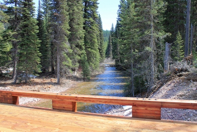 Looking south (downstream) from the new bridge crossing Morrell Creek as it appeared on May 11, 2017.  The bridge and forest have sustained heavy damage in the Rice Ridge fire.  The bridge never opened and will already require rebuilding.