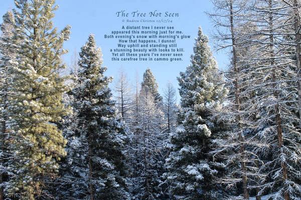 The Tree Not Seen Poem by Andy Christen