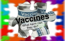 Vaccines, what harm can they do?