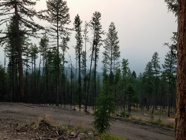 View from Wolverine Drive in Seeley Lake, Montana on 8/12/17 overlooking the obscured smoky valley below.  An eerie calm hung in the air because of the nearby Rice Ridge fire less then 2 miles away.