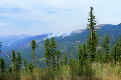 Part of the Rice Ridge fire in Seeley Lake, Montana on August 16, 2017 Looking north from the top of Elkhorn Drive.  This is now on the northwest quadrant of Morrell Mountain. Click to enlarge.