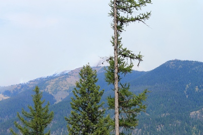 Part of the Rice Ridge fire in Seeley Lake, Montana on August 16, 2017 Looking north from the top of Elkhorn Drive across to Morrell Mountain.  A plume of fire and smoke is visible at the summit. The structure at the top right (about 1 mile away) is visible when zoomed in. Click to enlarge.
