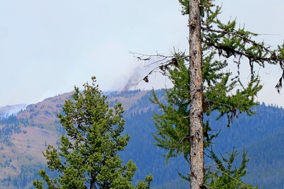 Zoomed in shot of the picture on the left.  Part of the Rice Ridge fire in Seeley Lake, Montana on August 16, 2017 Looking north from the top of Elkhorn Drive across to the top of Morrell Mountain.  A plume of fire and smoke is visible at the summit. A helicopter getting ready to dump retardant is visible on the upper right when zoomed in. Click to enlarge.